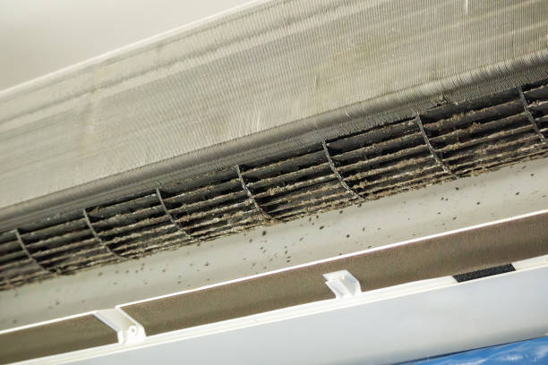 Best Affordable Duct Cleaning Services  in Mill Plain, CT